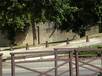  ancien mur d'enceinte